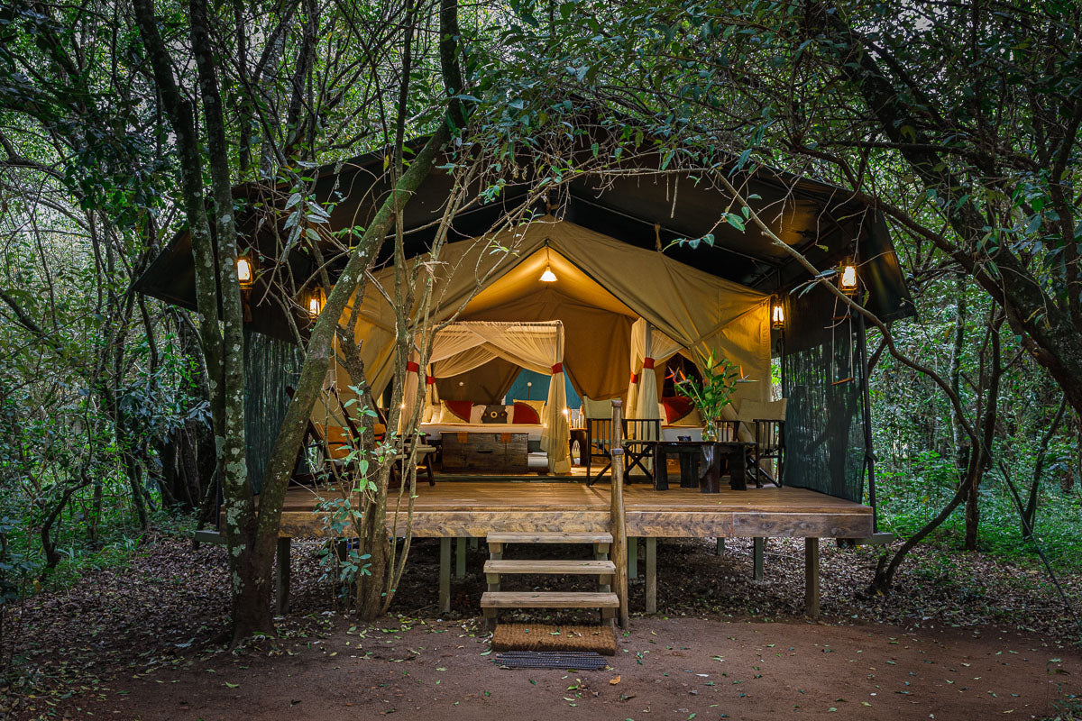 Safari Tent