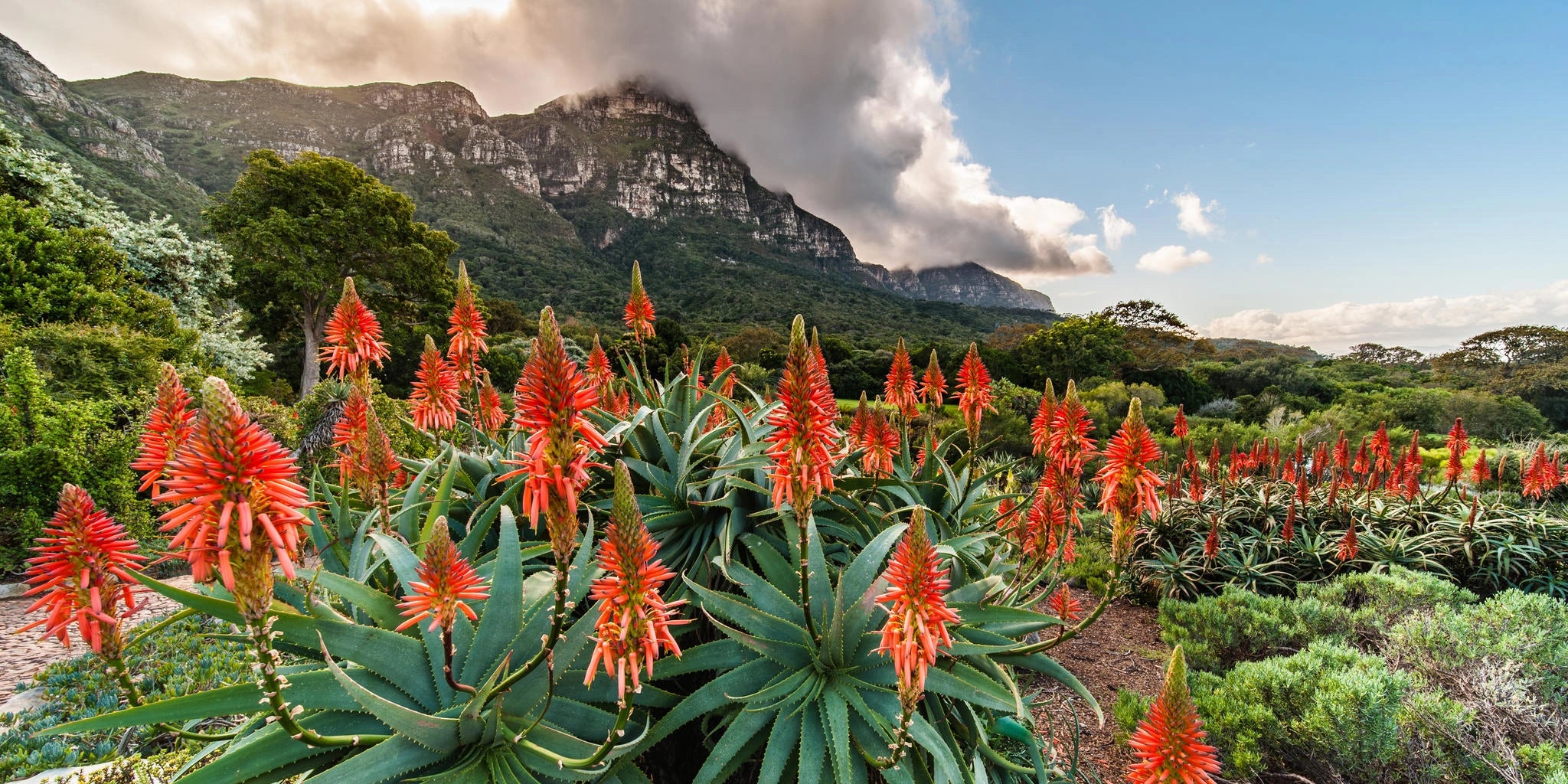 Cape Town