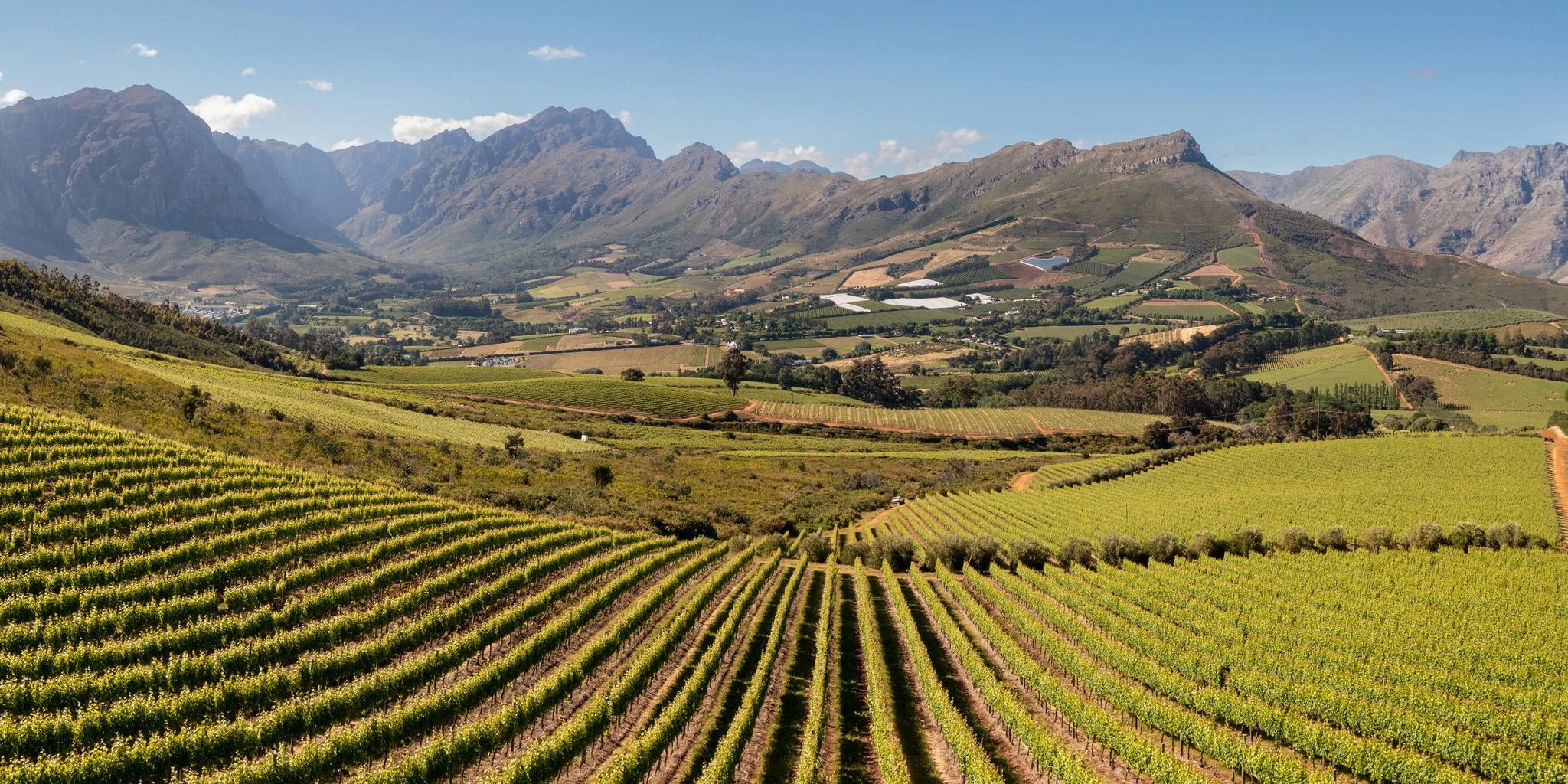Cape Town