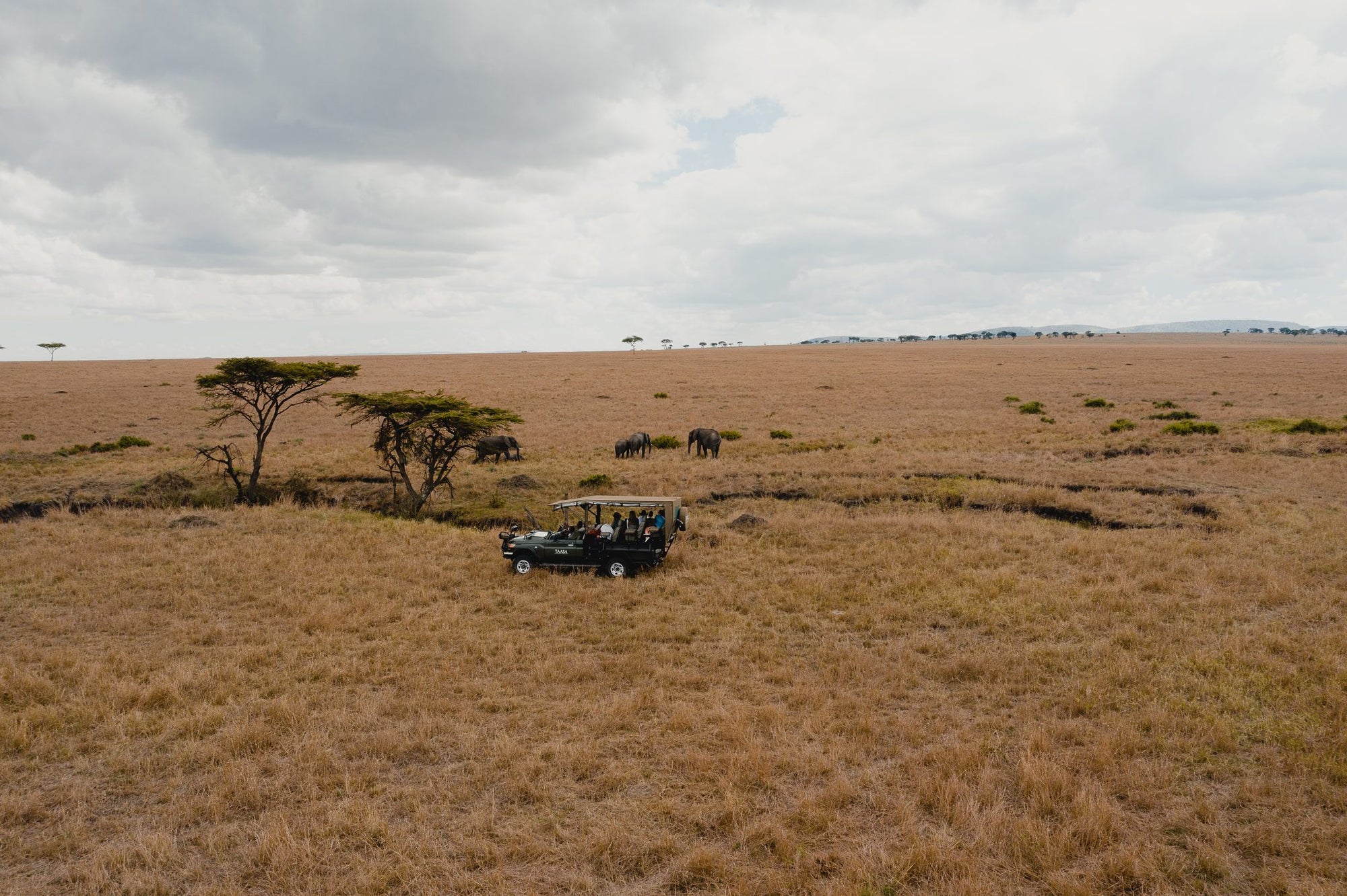 Safari & Wildlife