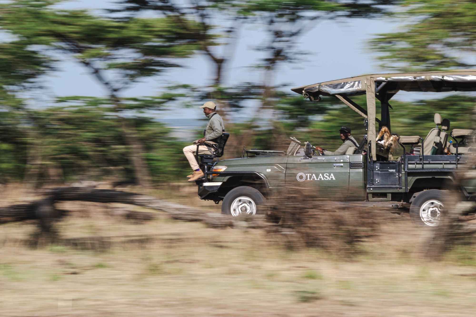 Safari & Wildlife