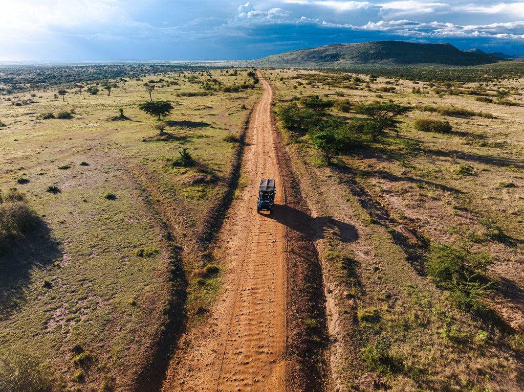 Safari & Wildlife