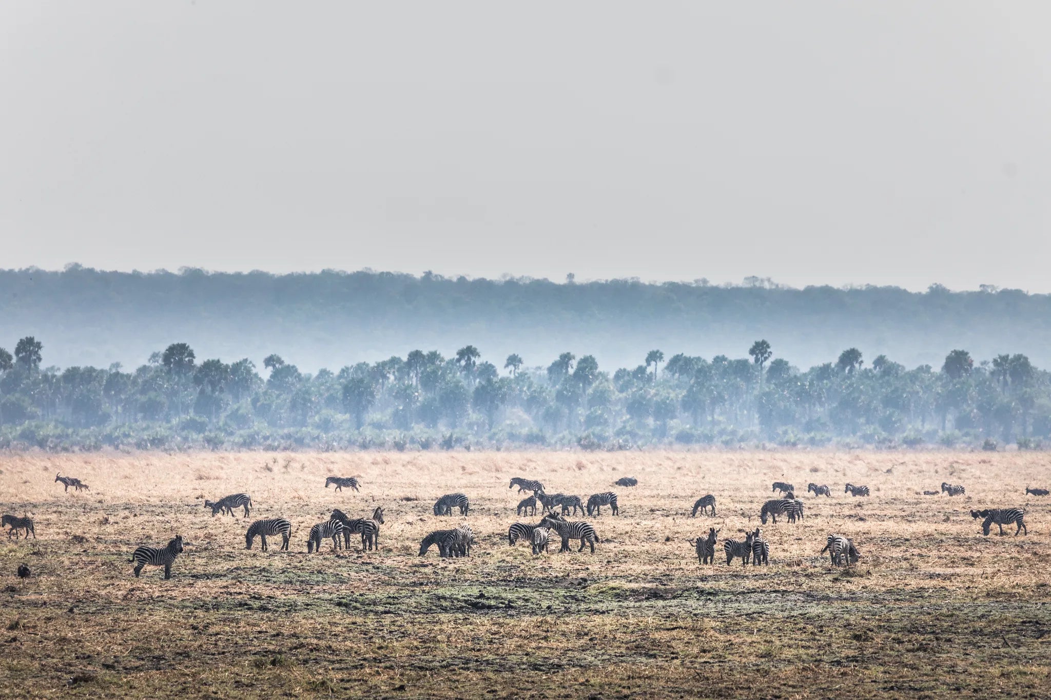 Chada Plain at Chada Katavi, Katavi National Park, Tanzania.