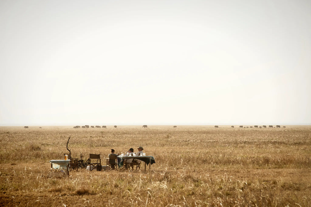 Wild space at Chada Katavi, Katavi National Park, Tanzania.