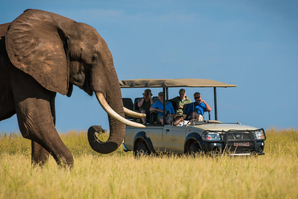 Game Drive gallery image 2