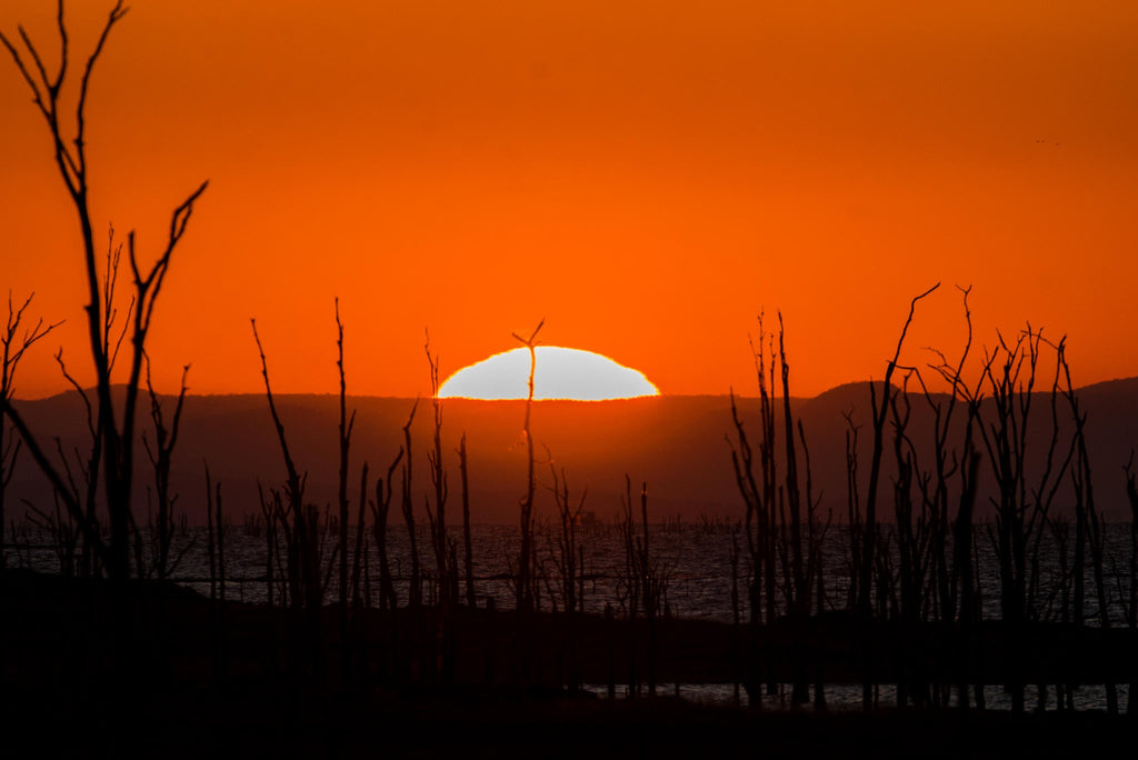 Neil Fairlie, Your Photographic Guide at Changa Safari Camp gallery image 4