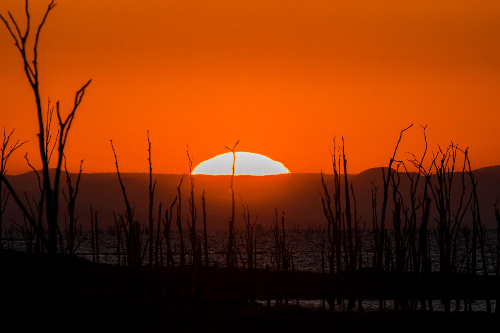 Neil Fairlie, Your Photographic Guide at Changa Safari Camp gallery image 4