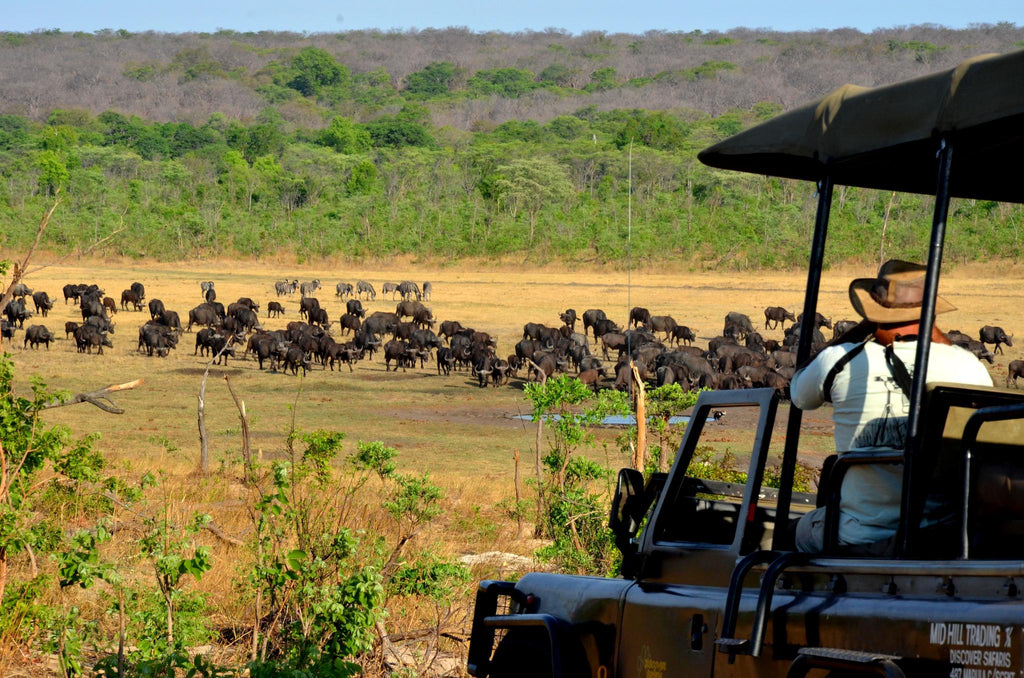 Zimbabwe Day Trip with Charles Brightman gallery image 6