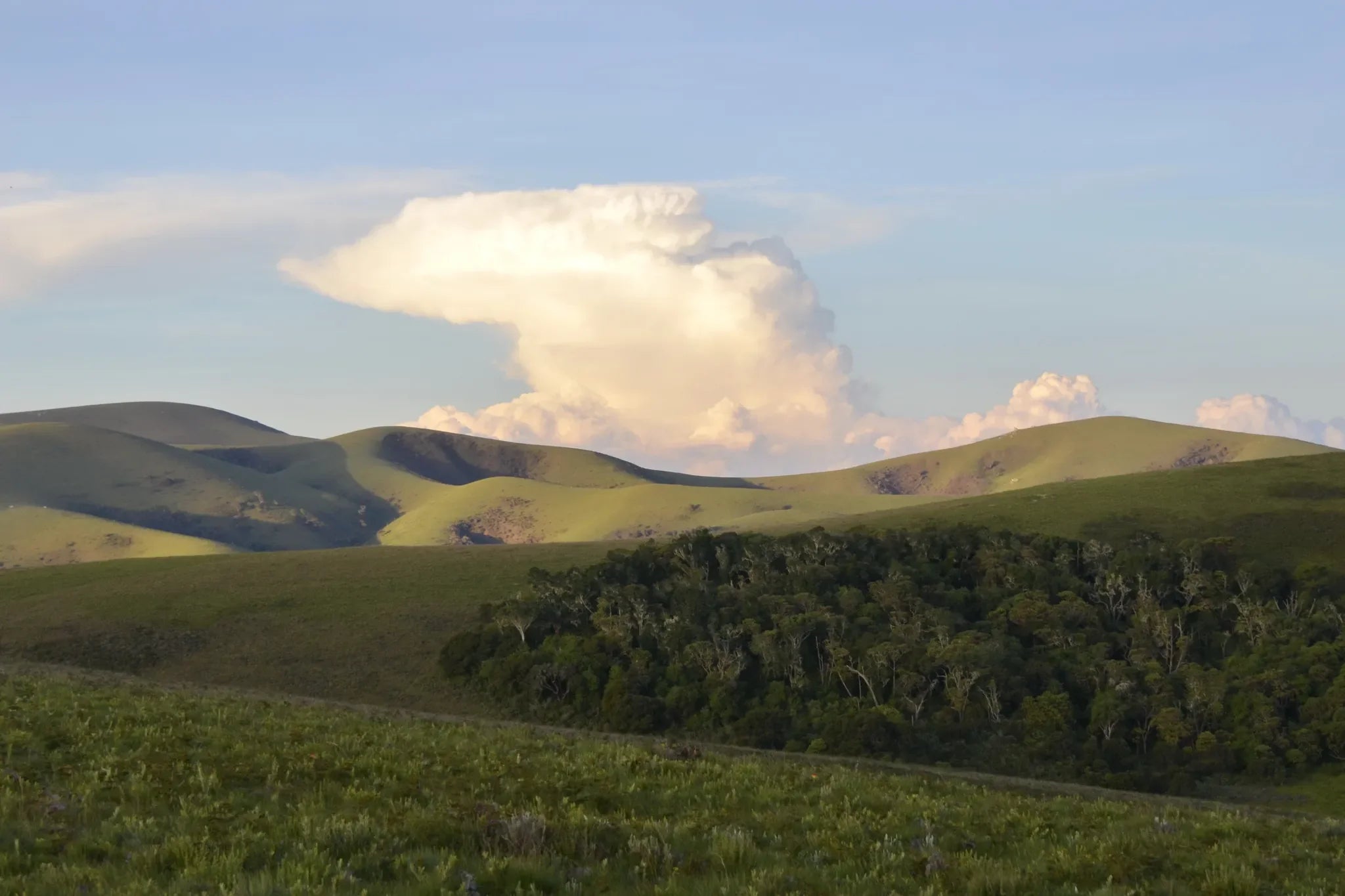 Chelinda Camp at Chelinda Camp, Nyika National Park, Malawi.