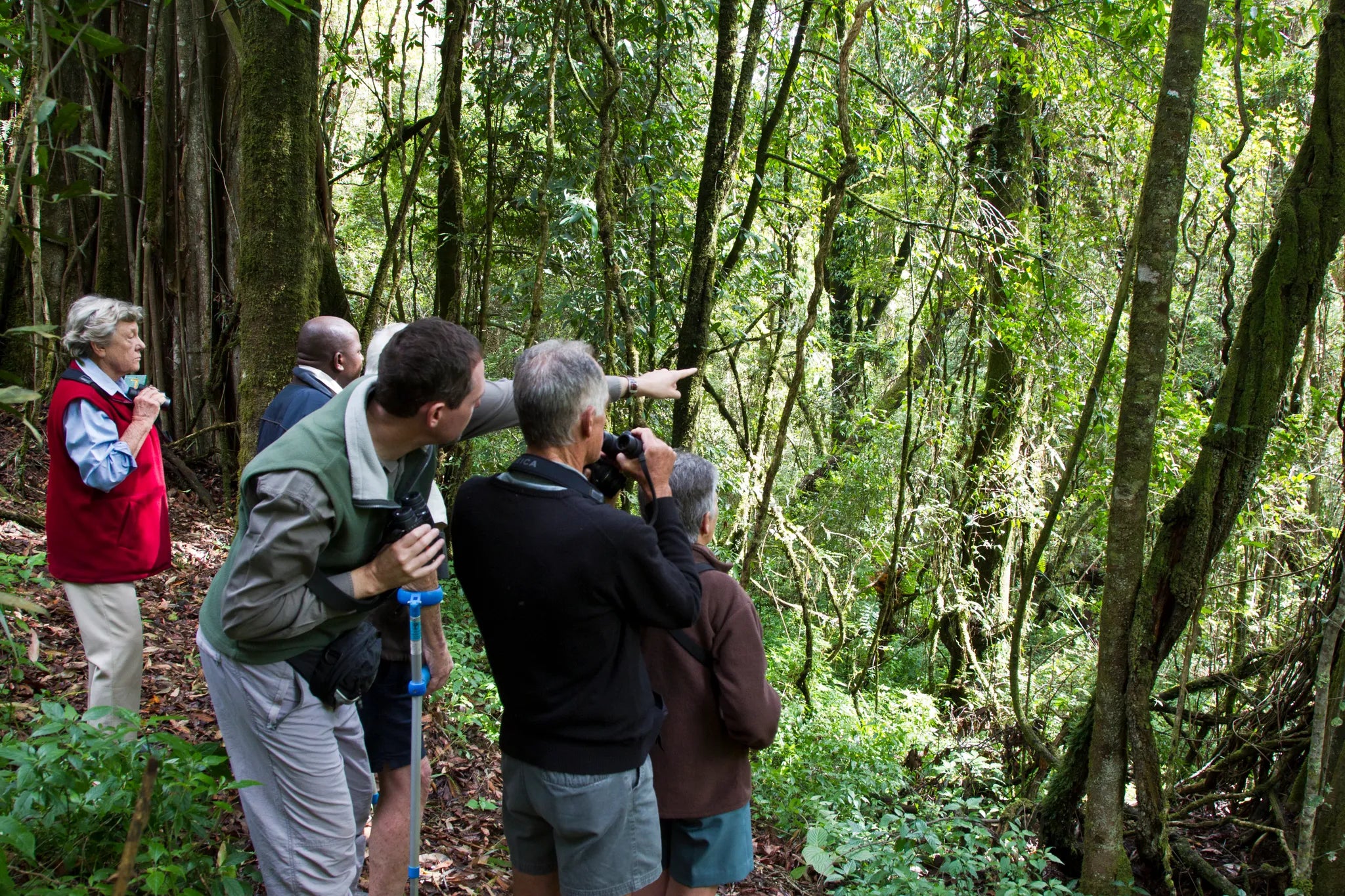 Chelinda Lodge at Chelinda Lodge, Nyika National Park, Malawi.