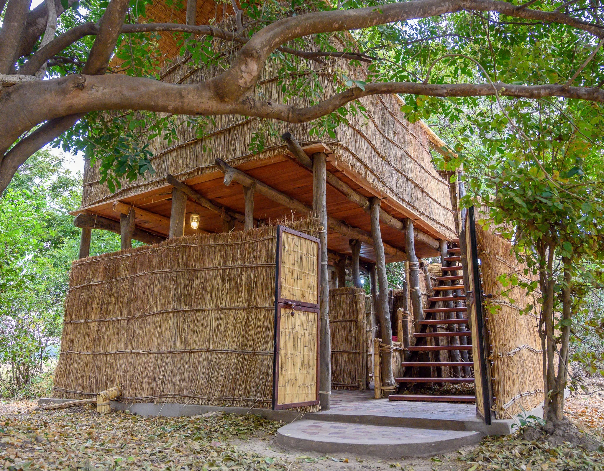 Chikoko Tree Camp at Chikoko Tree Camp, South Luangwa National Park, Zambia.