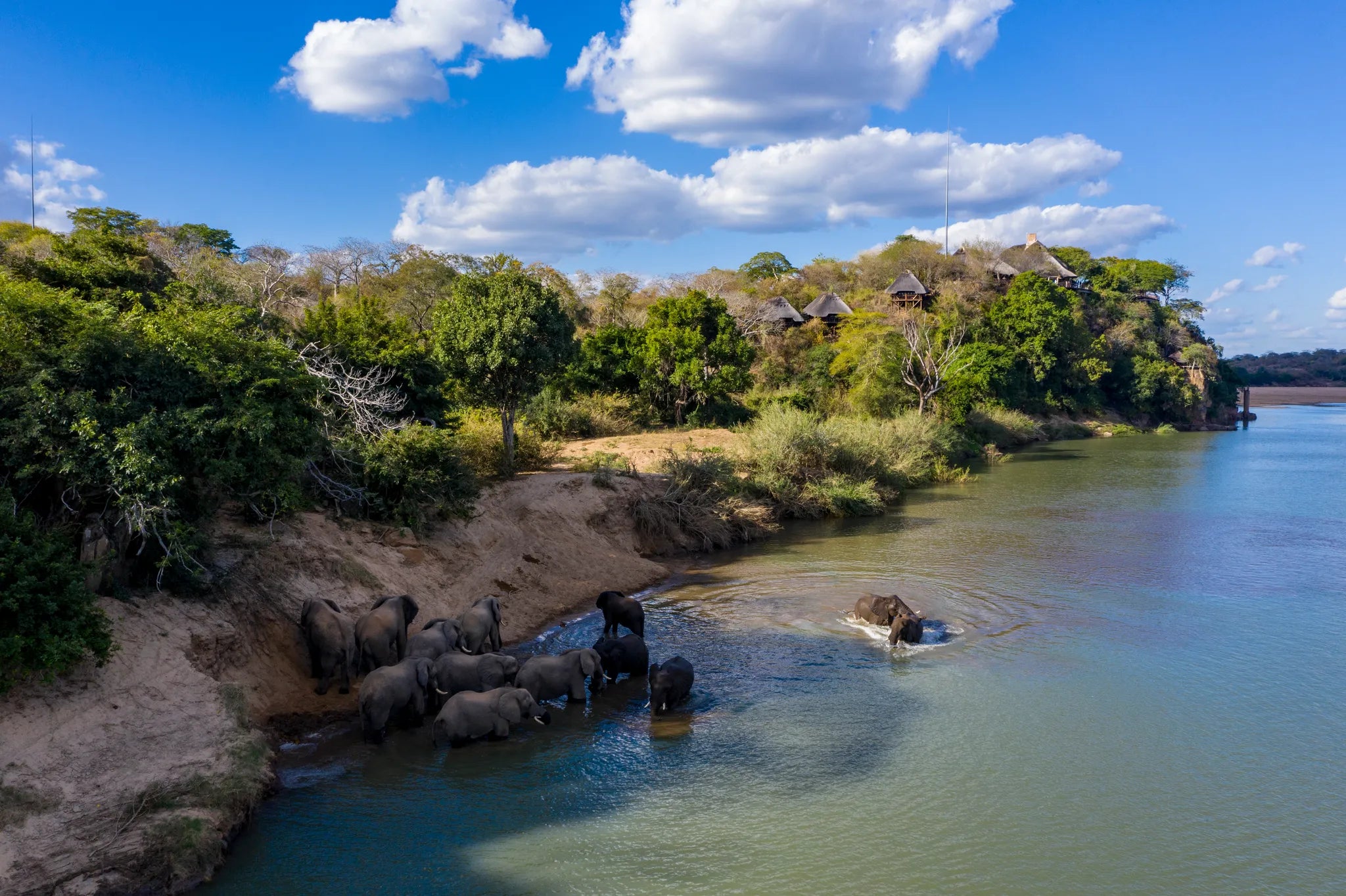 Elephants crossing Save in front of Chilo Gorge at Chilo Gorge Safari Lodge, Gonarezhou National Park, Zimbabwe.