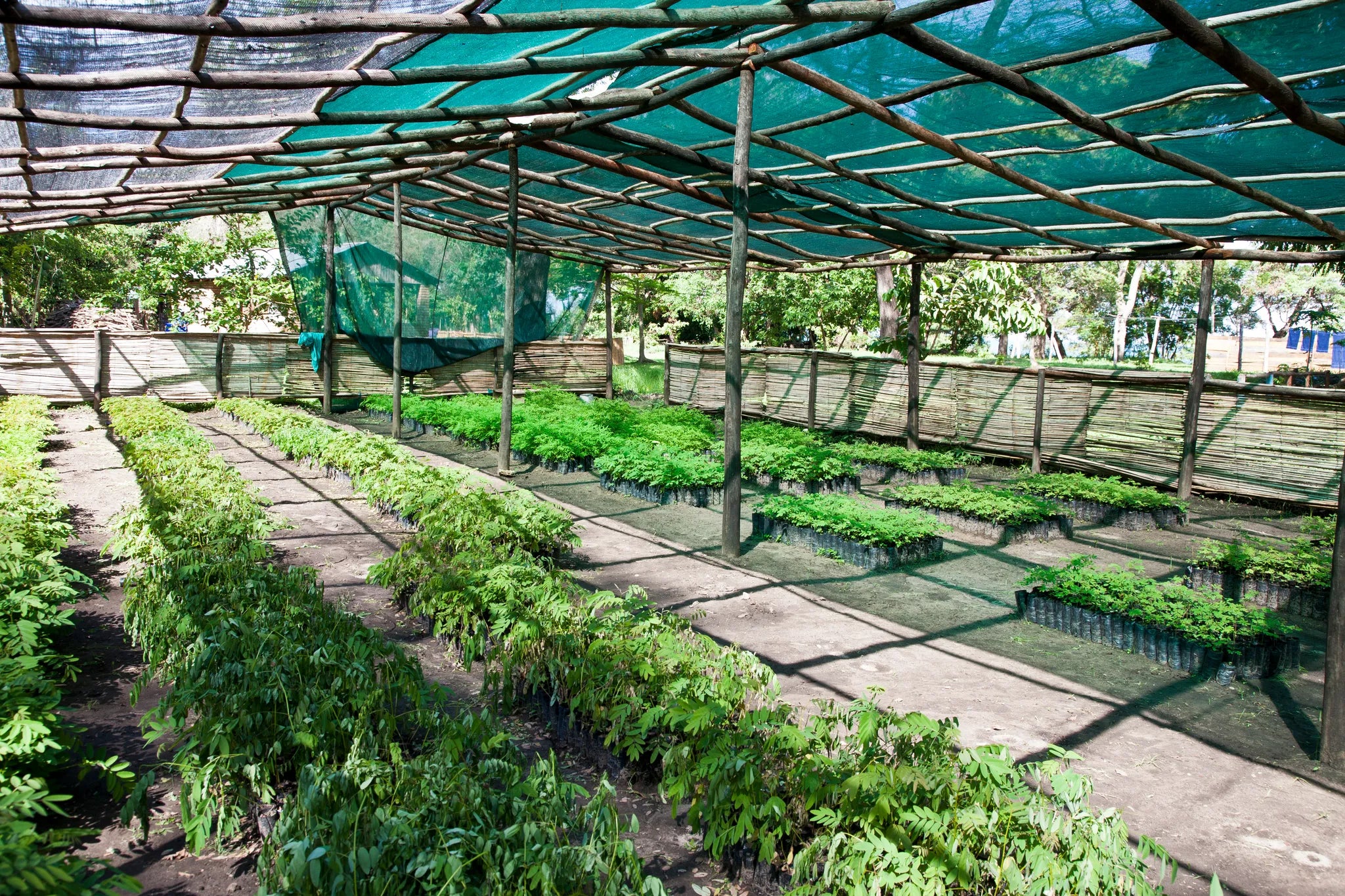 Chintheche Inn at Chintheche Inn, Chintheche, Malawi.