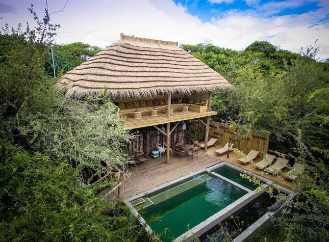 Chobe Bakwena Lodge : STANDARD CHALET