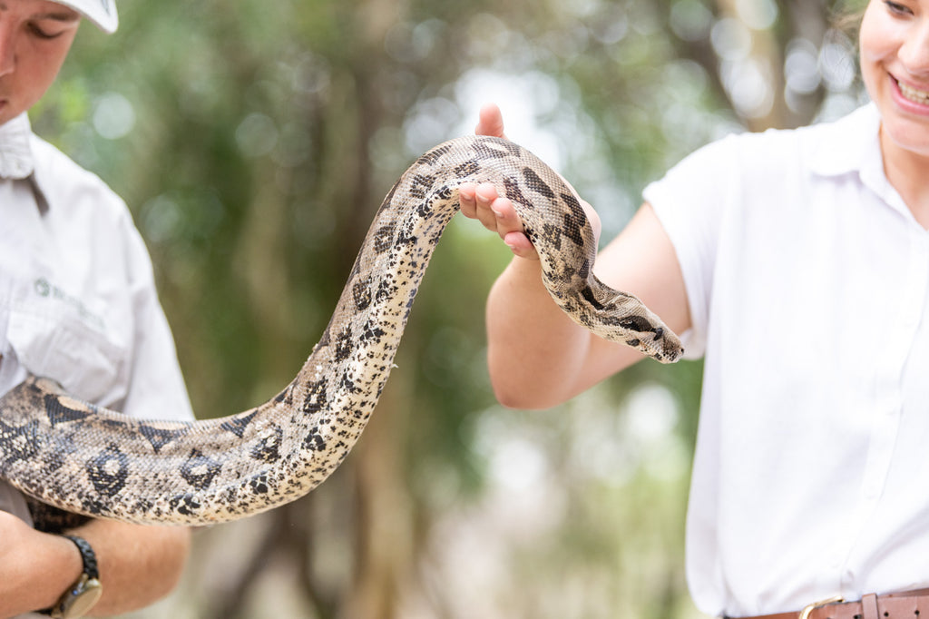 Ontouka Reptile Park
