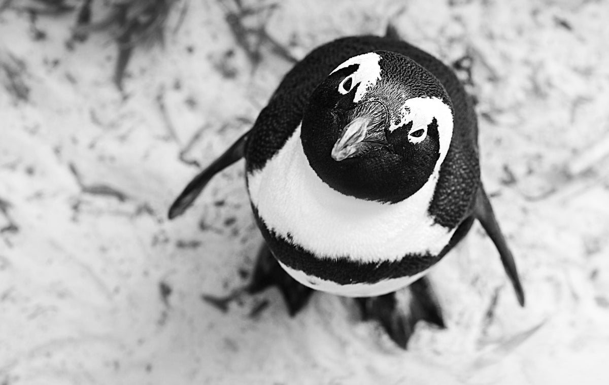 escape-explore-private-cape-adventures