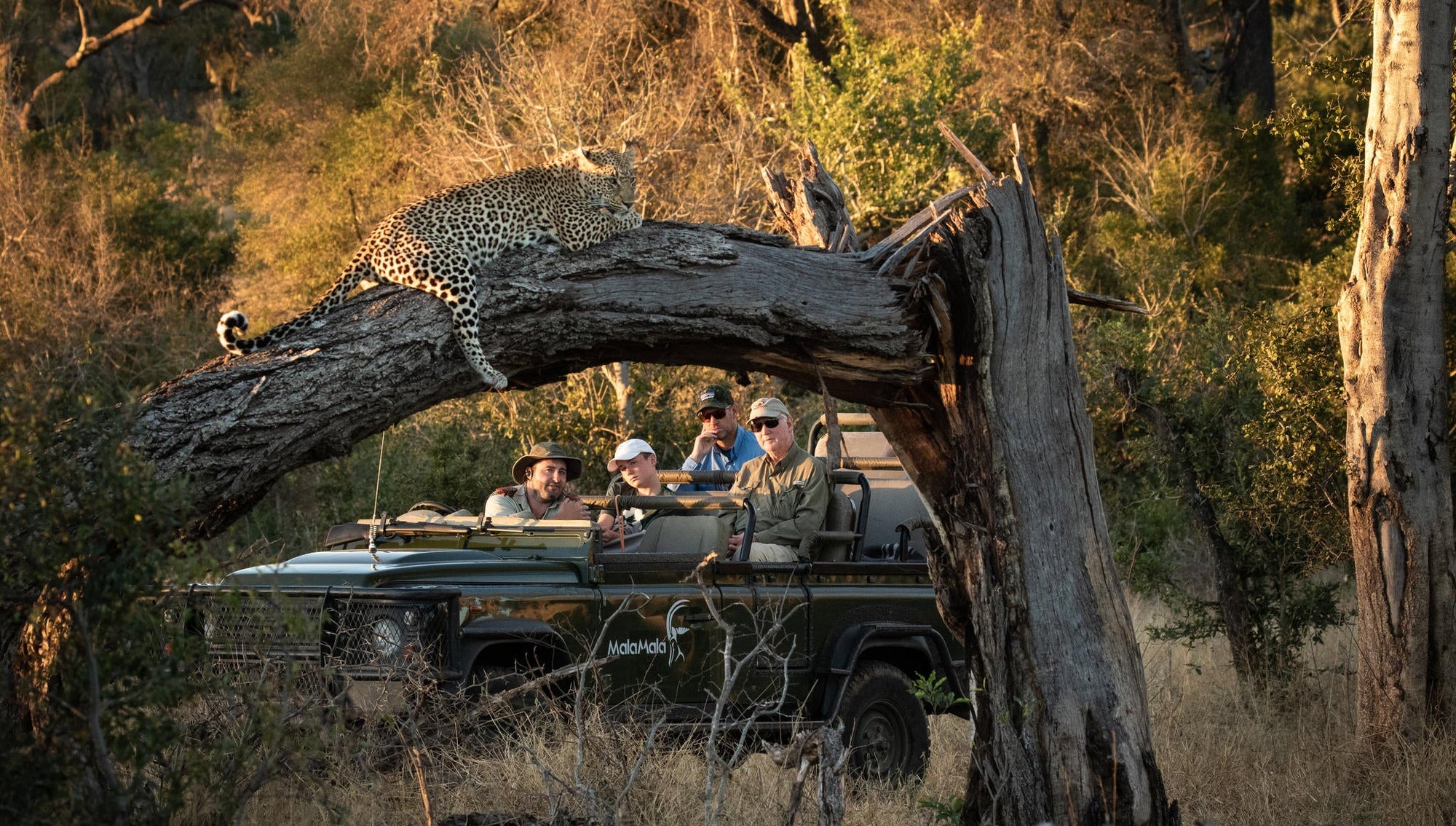 Game Drives gallery image 2