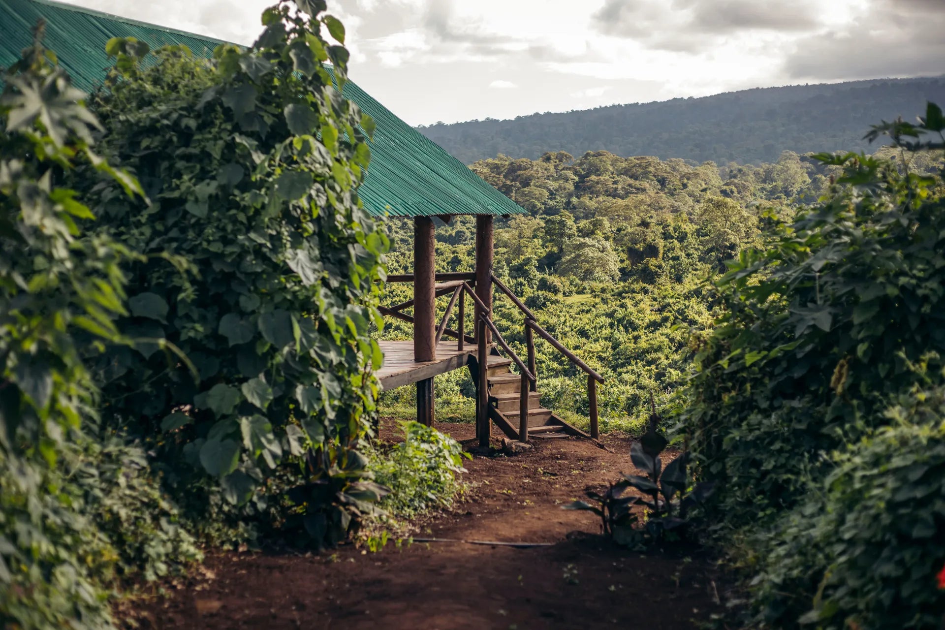 Crater Forest Tented Camp, Karatu, Tanzania gallery image 3.