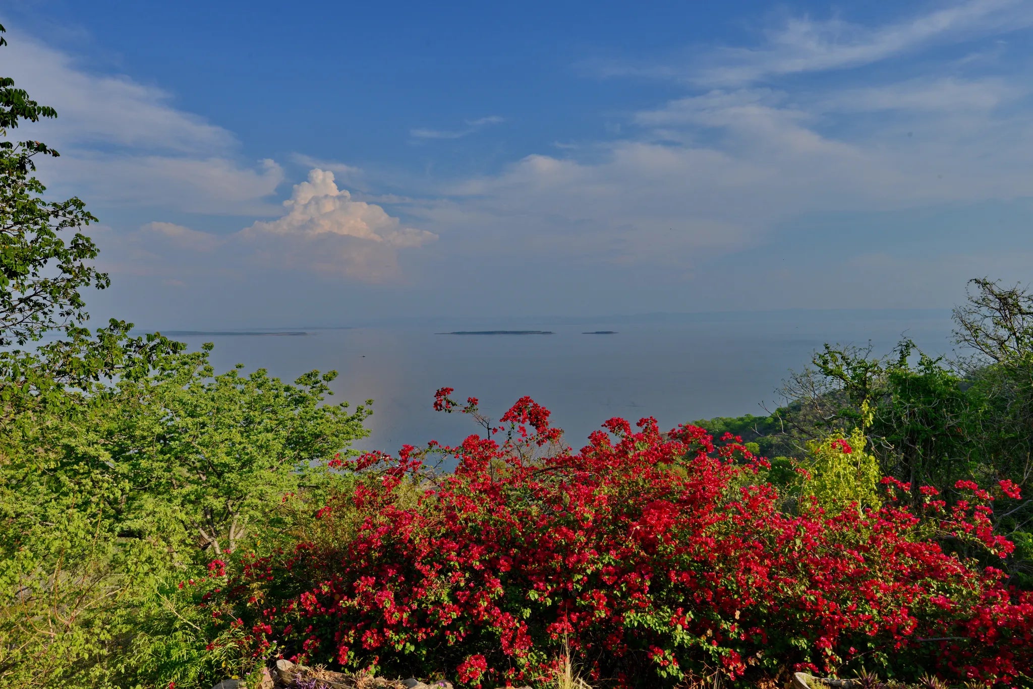 Our at Crowned Eagle Boutique Hotel, Lake Kariba, Zimbabwe.