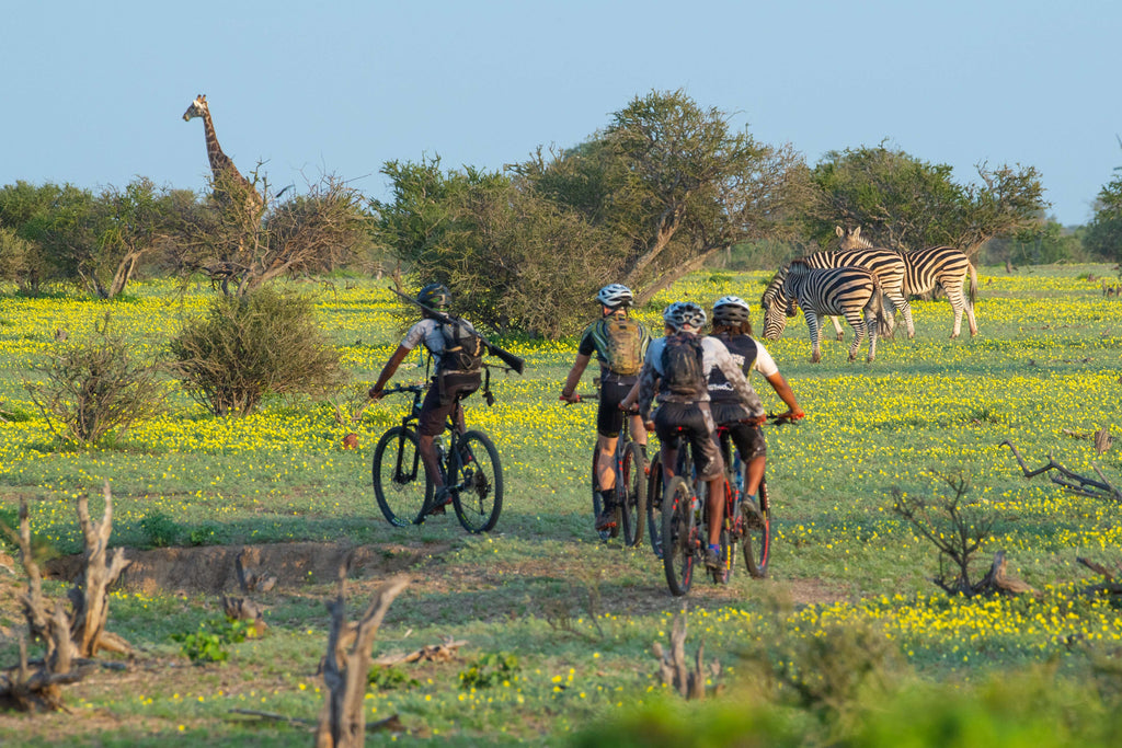 Cycle Mashatu