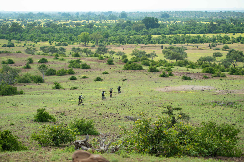 Cycle Mashatu