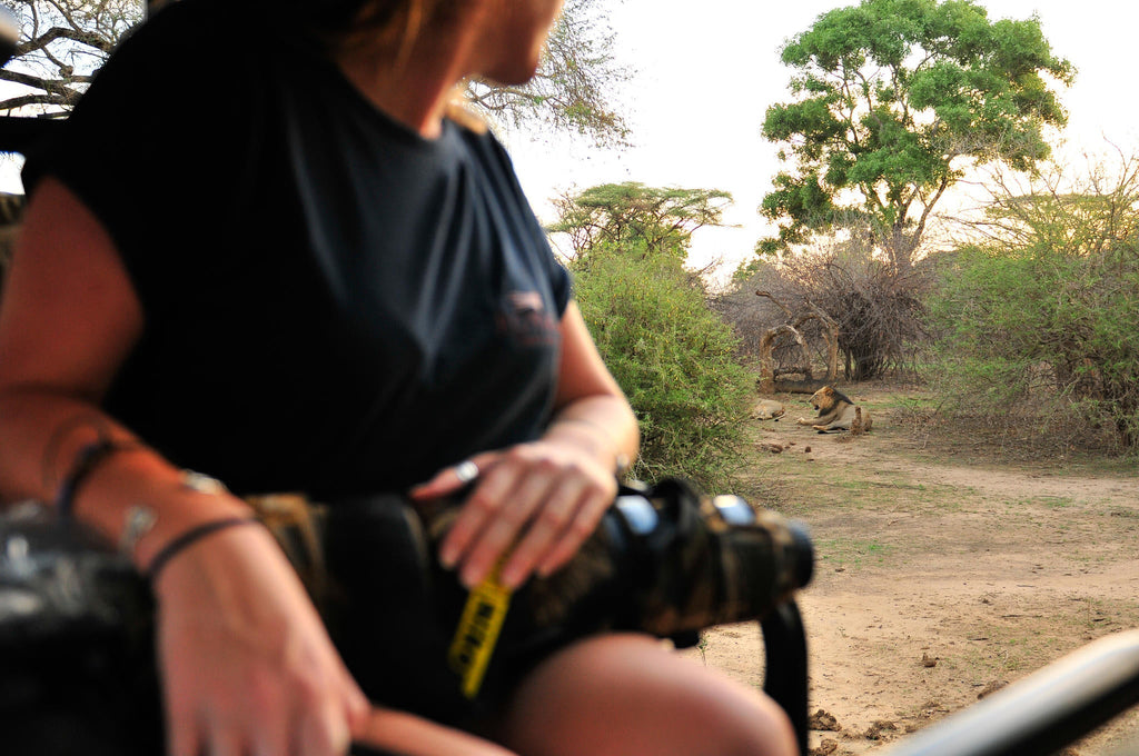 Game drives gallery image 2