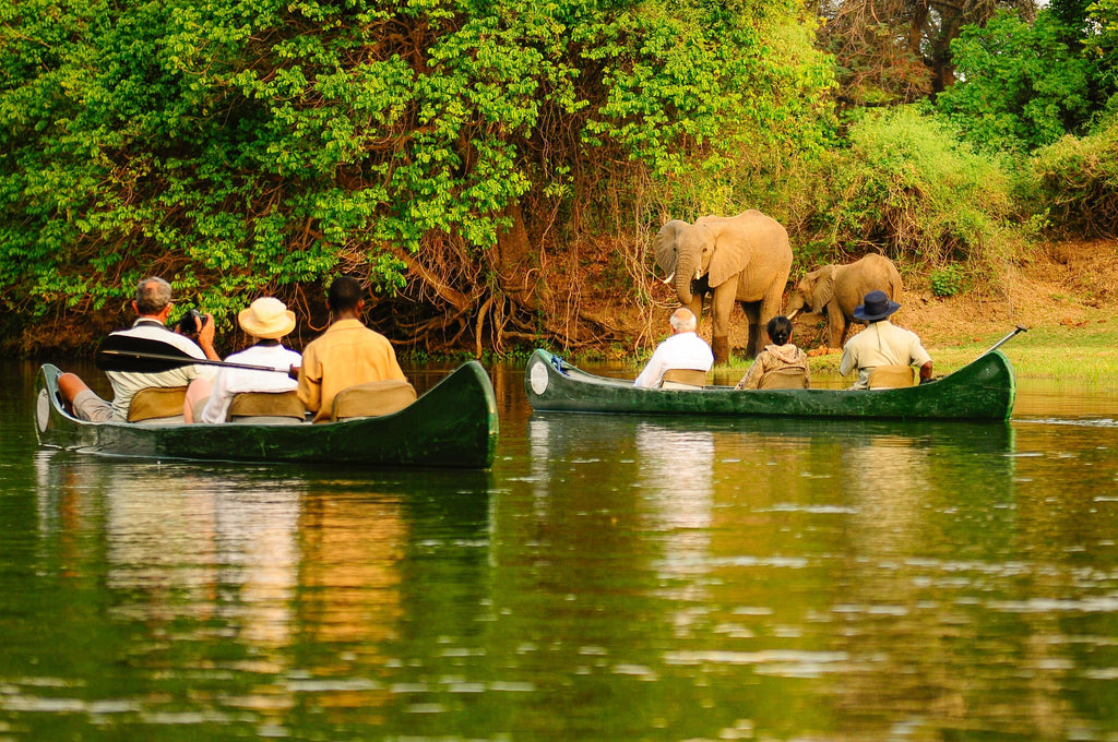 Canoeing Trips gallery image 5
