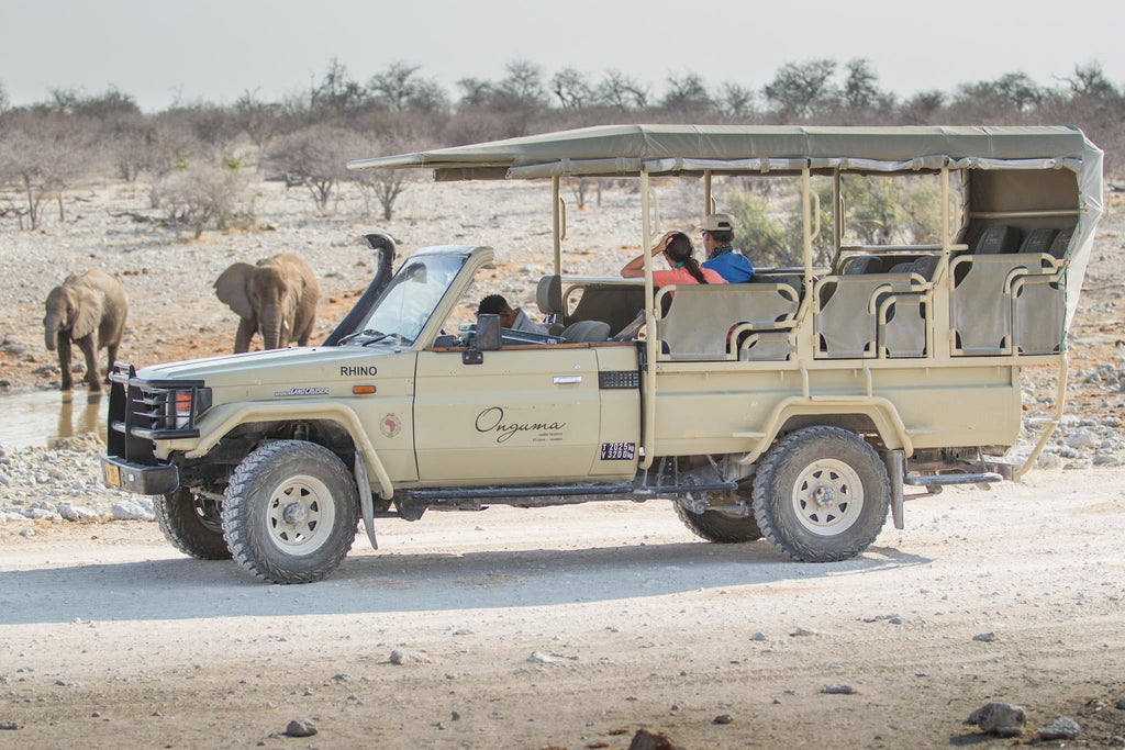 Etosha Game Drives gallery image 2