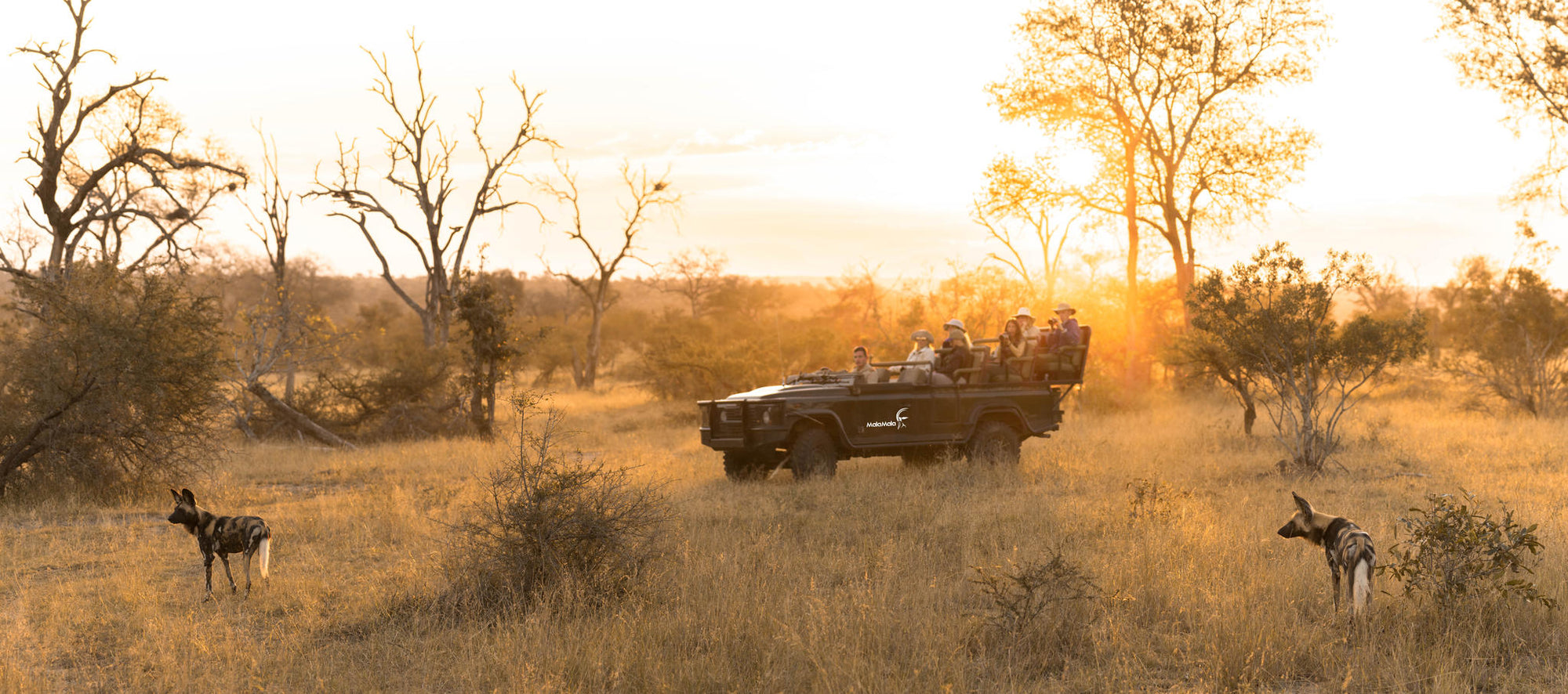 Game Drives gallery image 7