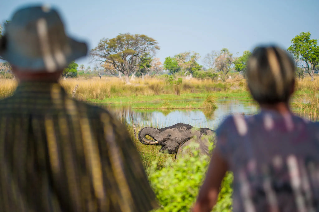Delta Camp at Delta Camp, Moremi Game Reserve, Botswana.