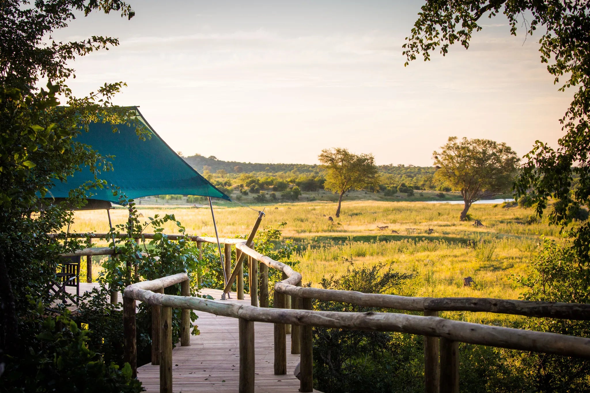 Walkways to main areas at Deteema Springs Camp, Western Hwange National Park, Zimbabwe.