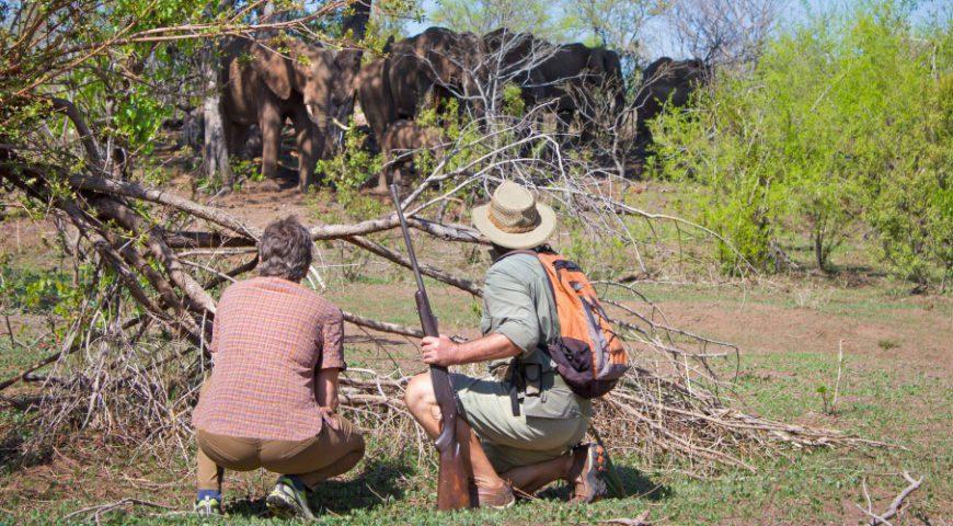 Zimbabwe Day Trip with Charles Brightman gallery image 2