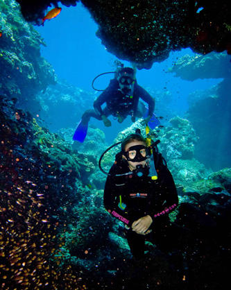 Diving gallery image 3