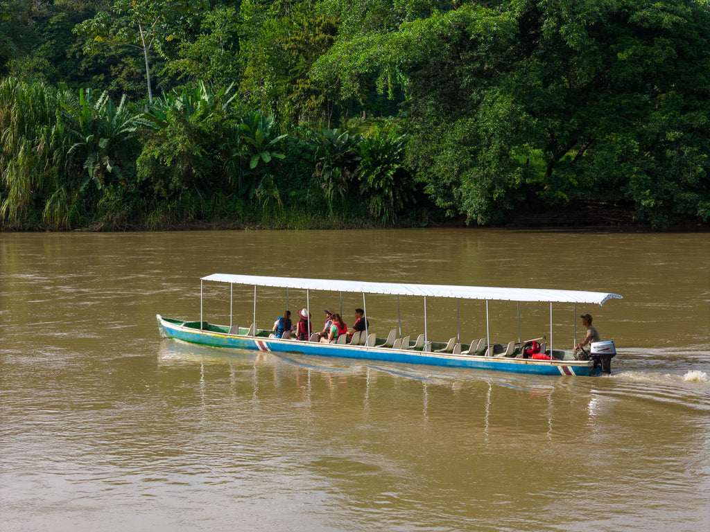 Safari San Carlos River