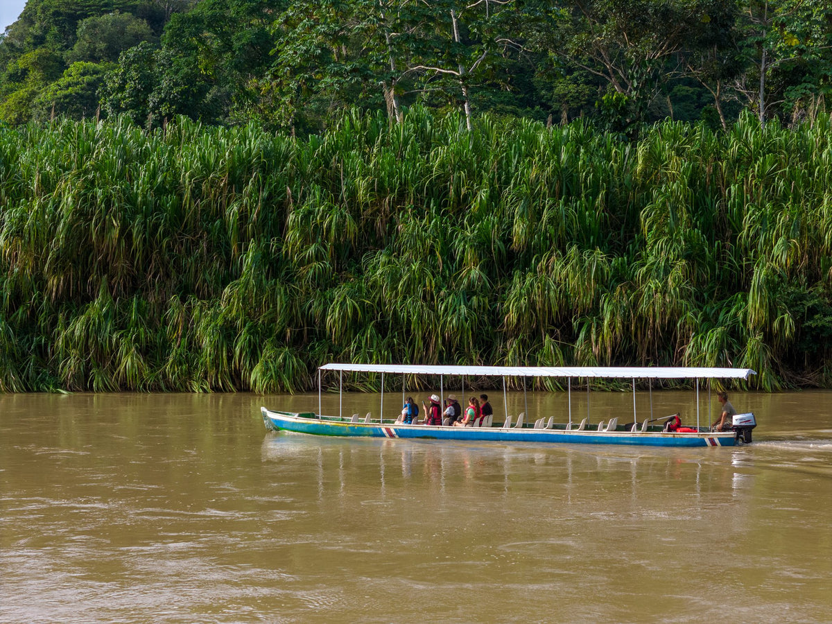 SAFARI TRES AMIGOS RIVER
