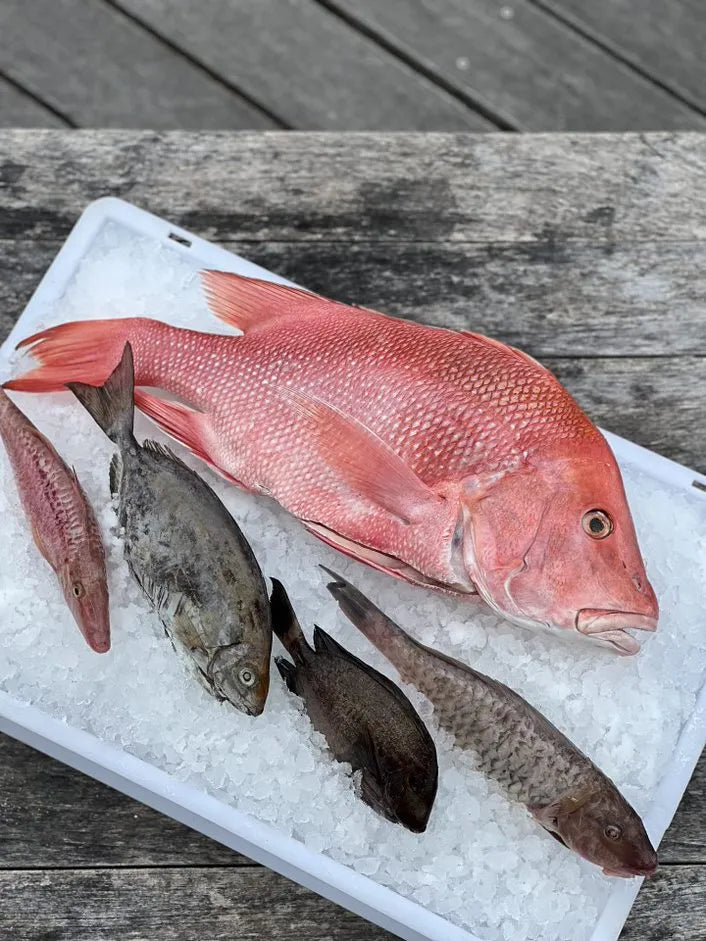 Fresh Catch at DoubleTree by Hilton Seychelles Allamanda Resort and Spa, Mahe Island, Seychelles.