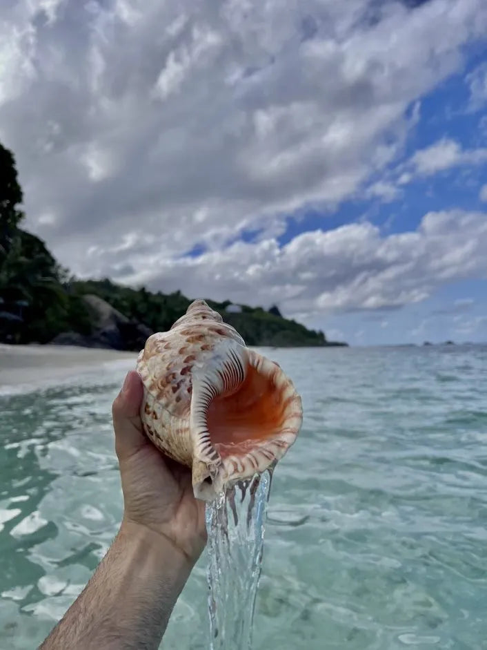Seashell at DoubleTree by Hilton Seychelles Allamanda Resort and Spa, Mahe Island, Seychelles.