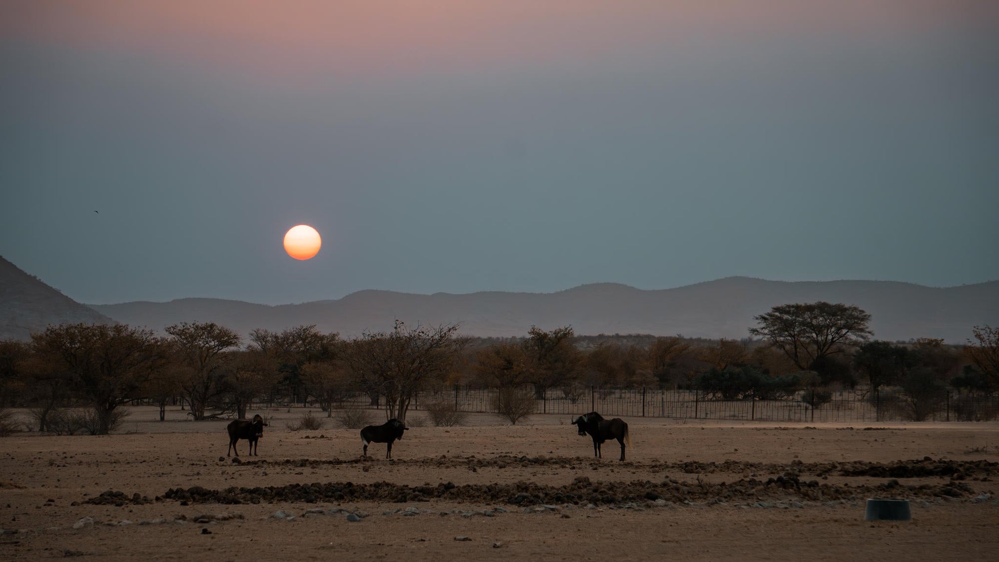 Relax and Unwind: Wildlife Viewing at Ugab Game Farm and Lodge (Free) gallery image 9