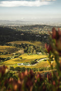 A Wild Wine Adventure  gallery image 1