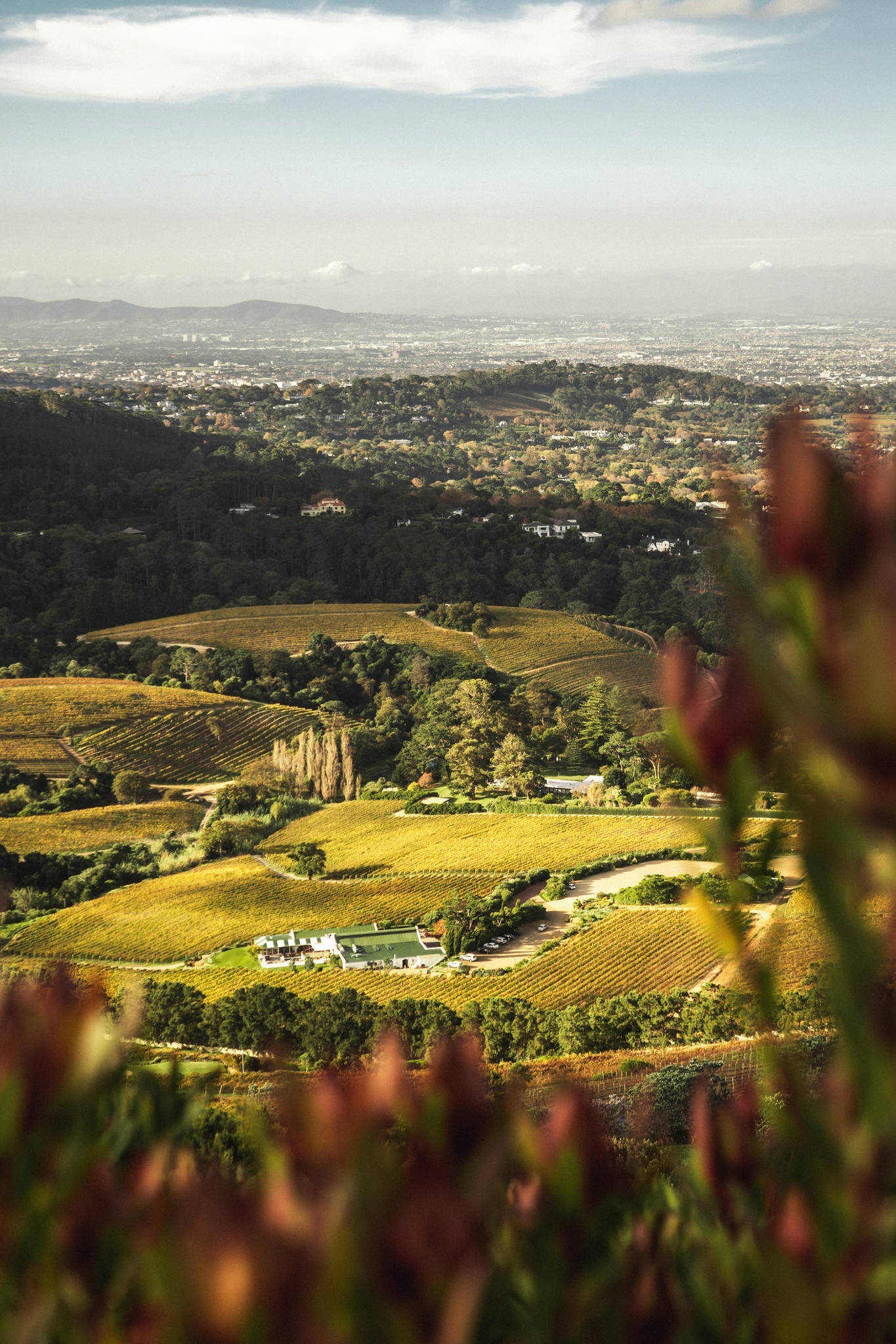 A Wild Wine Adventure
