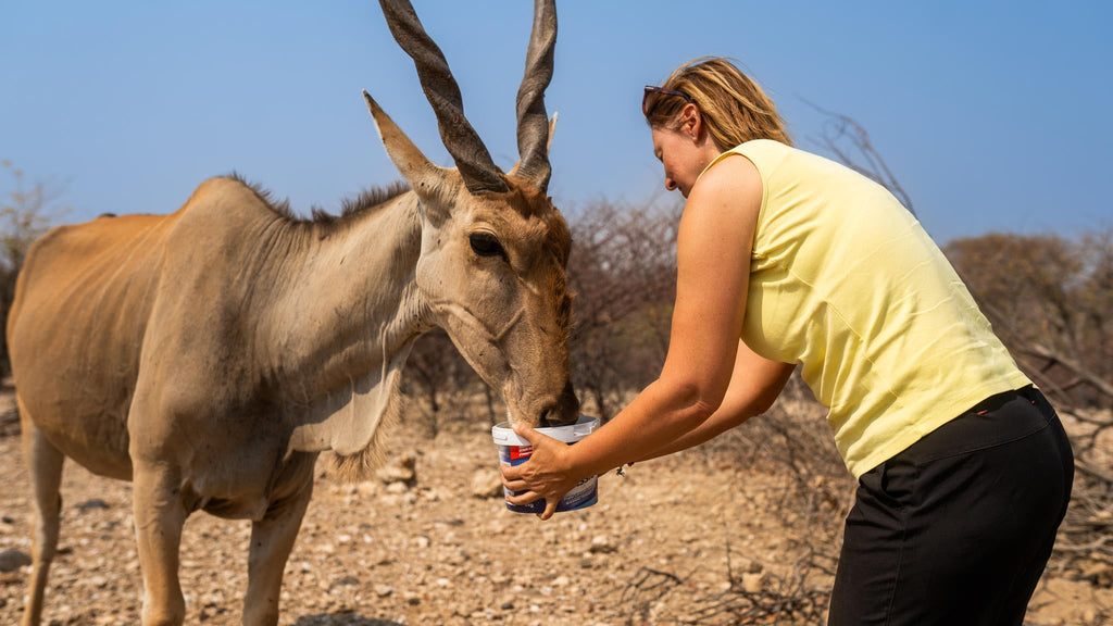 Embark on an Enchanting Nature Drive Adventure at Ugab Game Farm and Lodge (Chargeable Activity) gallery image 4