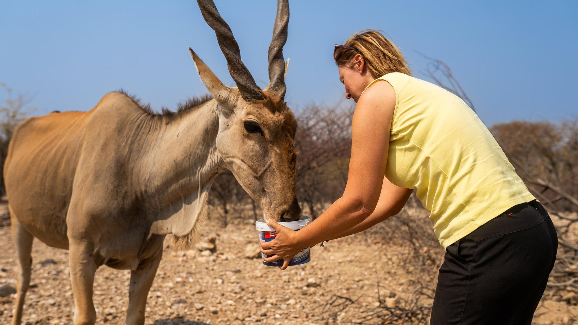 Embark on an Enchanting Nature Drive Adventure at Ugab Game Farm and Lodge (Chargeable Activity) gallery image 4