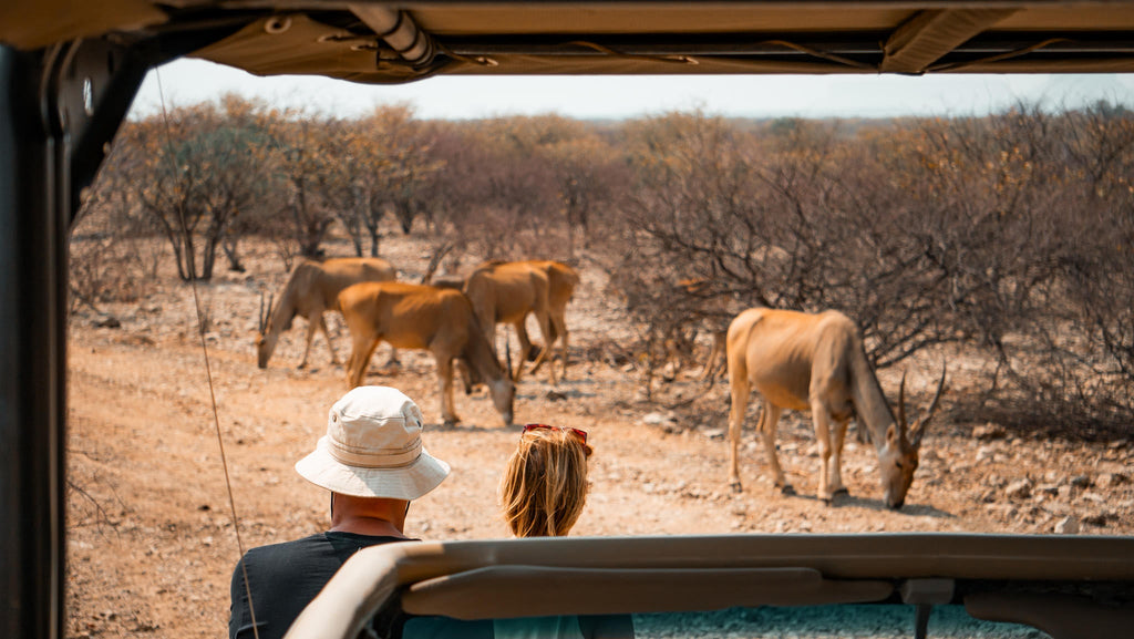 Embark on an Enchanting Nature Drive Adventure at Ugab Game Farm and Lodge (Chargeable Activity) gallery image 1