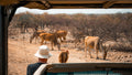 Embark on an Enchanting Nature Drive Adventure at Ugab Game Farm and Lodge (Chargeable Activity) gallery image 1