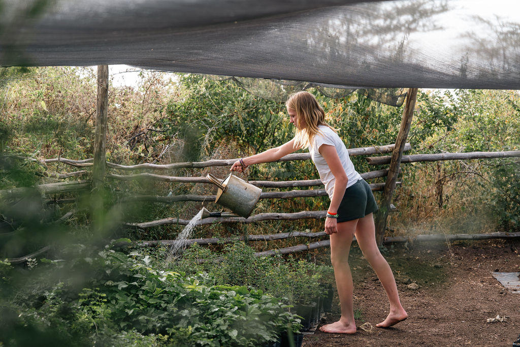 Visit Emakoko's Garden