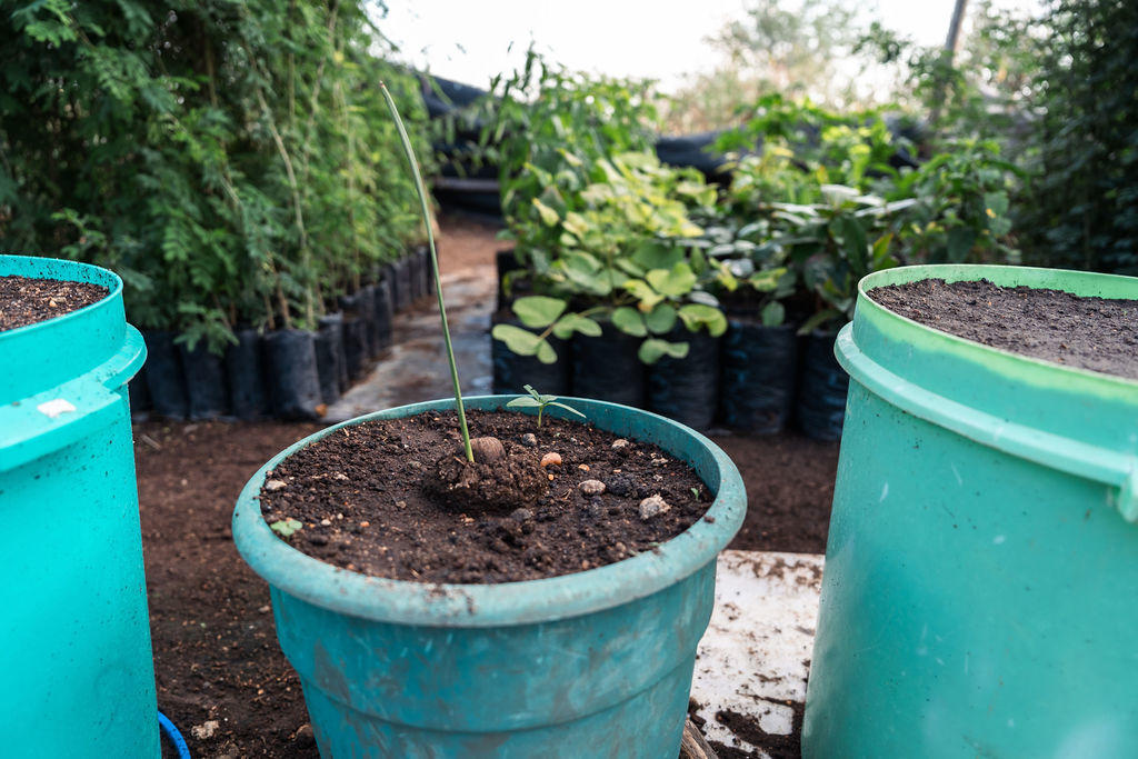 Visit Emakoko's Garden gallery image 2