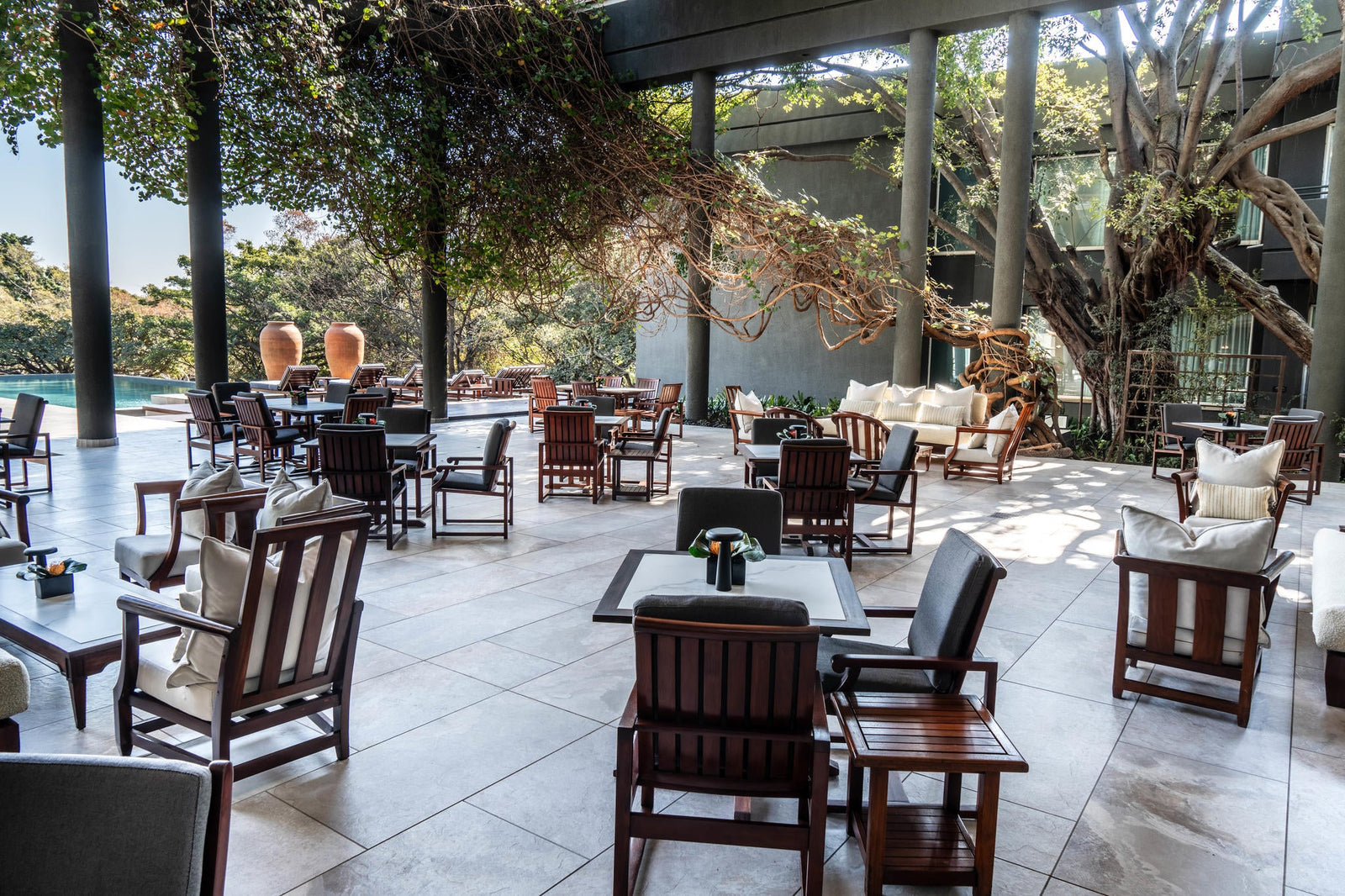 The Terrace