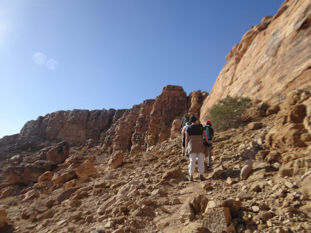 Morning Hike gallery image 3