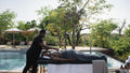 Serokolo Spa gallery image 1