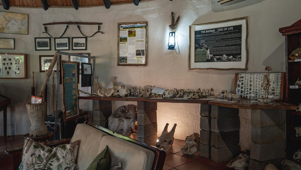 Discovery Room gallery image 2